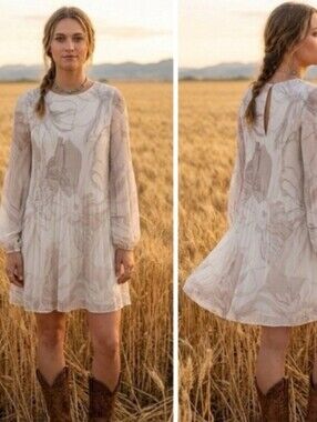 Aritzia Wilfred Daydreamer Mini Dress Pleated Chiffon Dress Babydoll Small